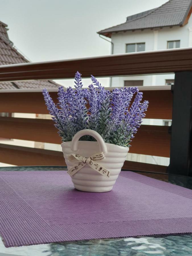 Zlatibor Hills Laraアパートホテル エクステリア 写真